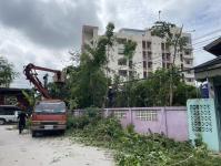 ดับเพลิงนครแม่สอด ออกตัดต้นไม้หน้าบ้านประชาชน บริเวณหลังโรงพยาบาลแม่สอด-ราม