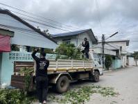 ดับเพลิงนครแม่สอด ออกตัดต้นไม้หน้าบ้านประชาชน บริเวณหลังโรงพยาบาลแม่สอด-ราม