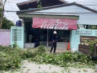 ดับเพลิงนครแม่สอด ออกตัดต้นไม้หน้าบ้านประชาชน บริเวณหลังโรงพยาบาลแม่สอด-ราม