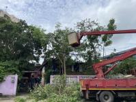 ดับเพลิงนครแม่สอด ออกตัดต้นไม้หน้าบ้านประชาชน บริเวณหลังโรงพยาบาลแม่สอด-ราม