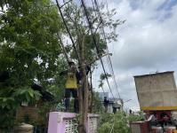 ดับเพลิงนครแม่สอด ออกตัดต้นไม้หน้าบ้านประชาชน บริเวณหลังโรงพยาบาลแม่สอด-ราม