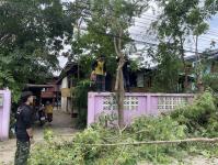 ดับเพลิงนครแม่สอด ออกตัดต้นไม้หน้าบ้านประชาชน บริเวณหลังโรงพยาบาลแม่สอด-ราม