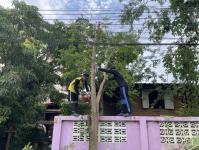 ดับเพลิงนครแม่สอด ออกตัดต้นไม้หน้าบ้านประชาชน บริเวณหลังโรงพยาบาลแม่สอด-ราม