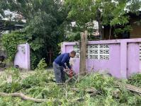 ดับเพลิงนครแม่สอด ออกตัดต้นไม้หน้าบ้านประชาชน บริเวณหลังโรงพยาบาลแม่สอด-ราม