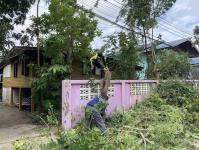 ดับเพลิงนครแม่สอด ออกตัดต้นไม้หน้าบ้านประชาชน บริเวณหลังโรงพยาบาลแม่สอด-ราม