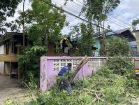 ดับเพลิงนครแม่สอด ออกตัดต้นไม้หน้าบ้านประชาชน บริเวณหลังโรงพยาบาลแม่สอด-ราม