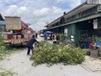 ดับเพลิงนครแม่สอด ออกตัดต้นไม้หน้าบ้านประชาชน บริเวณหลังโรงพยาบาลแม่สอด-ราม