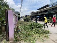 ดับเพลิงนครแม่สอด ออกตัดต้นไม้หน้าบ้านประชาชน บริเวณหลังโรงพยาบาลแม่สอด-ราม