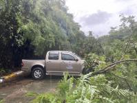 ดับเพลิงนครแม่สอด ออกตัดต้นไม้โค่นล้มภายในโรงแรมควีนพาเลส