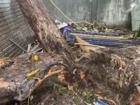 ดับเพลิงนครแม่สอด ออกตัดต้นไม้โค่นล้มภายในโรงแรมควีนพาเลส