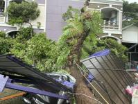 ดับเพลิงนครแม่สอด ออกตัดต้นไม้โค่นล้มภายในโรงแรมควีนพาเลส