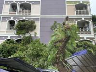 ดับเพลิงนครแม่สอด ออกตัดต้นไม้โค่นล้มภายในโรงแรมควีนพาเลส