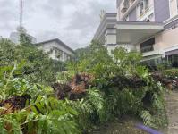 ดับเพลิงนครแม่สอด ออกตัดต้นไม้โค่นล้มภายในโรงแรมควีนพาเลส