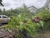 ดับเพลิงนครแม่สอด ออกตัดต้นไม้โค่นล้มภายในโรงแรมควีนพาเลส