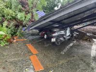 ดับเพลิงนครแม่สอด ออกตัดต้นไม้โค่นล้มภายในโรงแรมควีนพาเลส