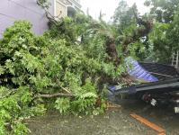 ดับเพลิงนครแม่สอด ออกตัดต้นไม้โค่นล้มภายในโรงแรมควีนพาเลส