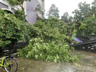 ดับเพลิงนครแม่สอด ออกตัดต้นไม้โค่นล้มภายในโรงแรมควีนพาเลส