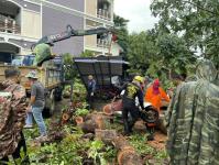 ดับเพลิงนครแม่สอด ออกตัดต้นไม้โค่นล้มภายในโรงแรมควีนพาเลส