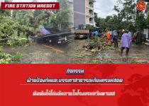 ดับเพลิงนครแม่สอด ออกตัดต้นไม้โค่นล้มภายในโรงแรมควีนพาเลส