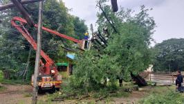 ดับเพลิงนครแม่สอด ออกตัดต้นมไม้ล้มทับสายไฟ ซอยหน้าไปรษณีย์แม่สอด