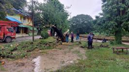 ดับเพลิงนครแม่สอด ออกตัดต้นมไม้ล้มทับสายไฟ ซอยหน้าไปรษณีย์แม่สอด