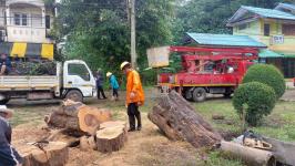 ดับเพลิงนครแม่สอด ออกตัดต้นมไม้ล้มทับสายไฟ ซอยหน้าไปรษณีย์แม่สอด