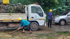 ดับเพลิงนครแม่สอด ออกตัดต้นมไม้ล้มทับสายไฟ ซอยหน้าไปรษณีย์แม่สอด