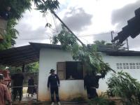 ดับเพลิงนครแม่สอด ออกตัดต้นไม้บ้านพักผู้พิพากษาแม่สอด