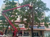 ดับเพลิงนครแม่สอด  ออกตัดต้นไม้หน้า โรงพยาบาลแม่สอด-ราม