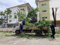 ดับเพลิงนครแม่สอด  ออกตัดต้นไม้หน้า โรงพยาบาลแม่สอด-ราม