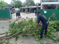 ดับเพลิงนครแม่สอด ออกตัดต้นไม้พาดผ่านสายไฟฟ้าหน้าบ้านประชาชน ซอย 9 ชุมชนสันต้นปิน