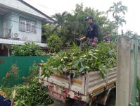 ดับเพลิงนครแม่สอด ออกตัดต้นไม้พาดผ่านสายไฟฟ้าหน้าบ้านประชาชน ซอย 9 ชุมชนสันต้นปิน