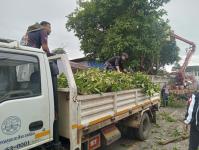 ดับเพลิงนครแม่สอด ออกตัดต้นไม้พาดผ่านสายไฟฟ้าหน้าบ้านประชาชน ซอย 9 ชุมชนสันต้นปิน