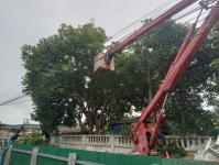 ดับเพลิงนครแม่สอด ออกตัดต้นไม้พาดผ่านสายไฟฟ้าหน้าบ้านประชาชน ซอย 9 ชุมชนสันต้นปิน