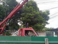 ดับเพลิงนครแม่สอด ออกตัดต้นไม้พาดผ่านสายไฟฟ้าหน้าบ้านประชาชน ซอย 9 ชุมชนสันต้นปิน