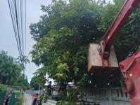 ดับเพลิงนครแม่สอด ออกตัดต้นไม้พาดผ่านสายไฟฟ้าหน้าบ้านประชาชน ซอย 9 ชุมชนสันต้นปิน