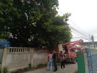 ดับเพลิงนครแม่สอด ออกตัดต้นไม้พาดผ่านสายไฟฟ้าหน้าบ้านประชาชน ซอย 9 ชุมชนสันต้นปิน