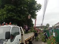 ดับเพลิงนครแม่สอด ออกตัดต้นไม้พาดผ่านสายไฟฟ้าหน้าบ้านประชาชน ซอย 9 ชุมชนสันต้นปิน