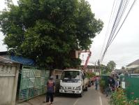 ดับเพลิงนครแม่สอด ออกตัดต้นไม้พาดผ่านสายไฟฟ้าหน้าบ้านประชาชน ซอย 9 ชุมชนสันต้นปิน