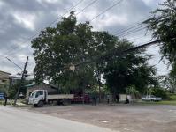 ดับเพลิงแม่สอด ออกตัดต้นไม้พาดผ่านสายไฟฟ้า หน้า ps gym ชุมชนร่วมแรง