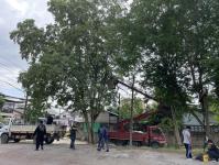 ดับเพลิงแม่สอด ออกตัดต้นไม้พาดผ่านสายไฟฟ้า หน้า ps gym ชุมชนร่วมแรง