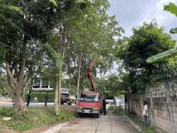 ดับเพลิงแม่สอด ออกตัดต้นไม้พาดผ่านสายไฟฟ้า หน้า ps gym ชุมชนร่วมแรง