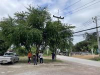 ดับเพลิงแม่สอด ออกตัดต้นไม้พาดผ่านสายไฟฟ้า หน้า ps gym ชุมชนร่วมแรง