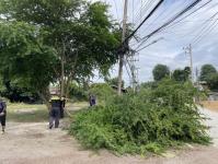 ดับเพลิงแม่สอด ออกตัดต้นไม้พาดผ่านสายไฟฟ้า หน้า ps gym ชุมชนร่วมแรง