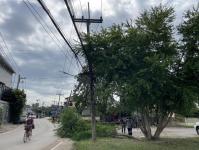 ดับเพลิงแม่สอด ออกตัดต้นไม้พาดผ่านสายไฟฟ้า หน้า ps gym ชุมชนร่วมแรง