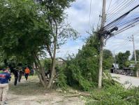 ดับเพลิงแม่สอด ออกตัดต้นไม้พาดผ่านสายไฟฟ้า หน้า ps gym ชุมชนร่วมแรง