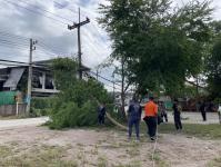 ดับเพลิงแม่สอด ออกตัดต้นไม้พาดผ่านสายไฟฟ้า หน้า ps gym ชุมชนร่วมแรง