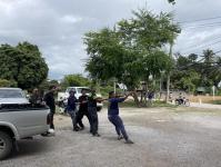 ดับเพลิงแม่สอด ออกตัดต้นไม้พาดผ่านสายไฟฟ้า หน้า ps gym ชุมชนร่วมแรง