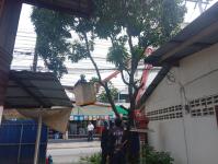 ดับเพลิงนครแม่สอด ออกตัดต้นไม้ บริเวณสี่แยกร้านขายปลา ชุมขนบัวคูณ