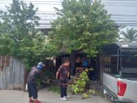 ดับเพลิงนครแม่สอด ออกตัดต้นไม้ บริเวณสี่แยกร้านขายปลา ชุมขนบัวคูณ